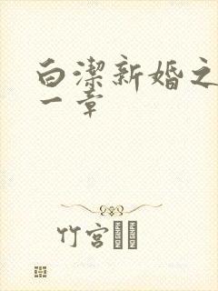白洁新婚之夜第一章