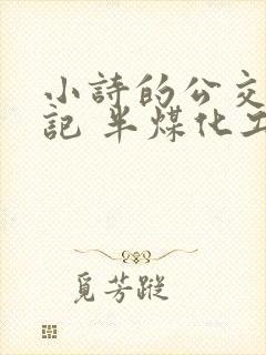 小诗的公交车日记 半煤化工