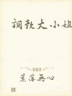 调教大小姐