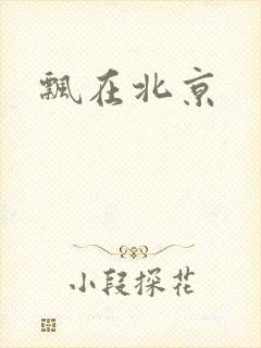 飘在北京