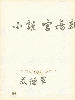 小说 官场新贵
