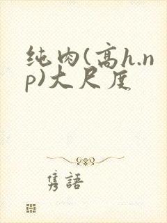 纯肉(高h.np)大尺度