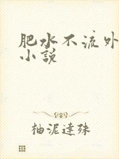 肥水不流外人田小说