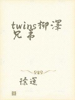 twins柳泽兄弟