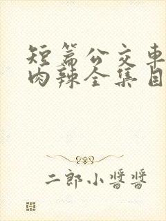 短篇公交车高h肉辣全集目录