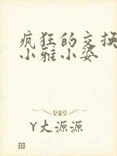 疯狂的交换小静小雅小姿
