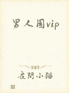 男人团vip
