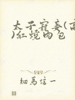 太子宠妾(高肉)红烧肉包