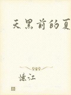 天黑前的夏天