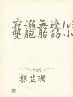 宠溺无边1v3双胞胎的小说