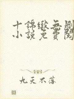 十锦缎无删原著小说免费阅读