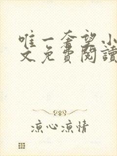 唯一奢望小说全文免费阅读