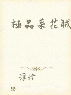 极品采花贼