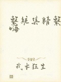 系统集精系统高嗨