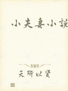 小夫妻小说