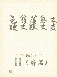 色翁荡息又大又硬又粗又爽小莹