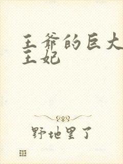 王爷的巨大进入王妃