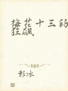 梅花十三的乳液狂飙