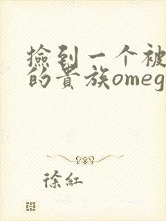 捡到一个被抹布的贵族omega