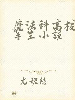 魔法科高校的劣等生小说