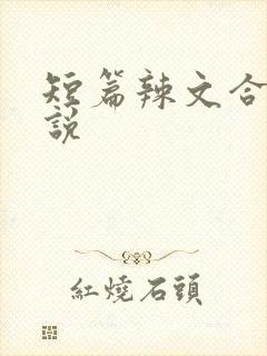 短篇辣文合集小说