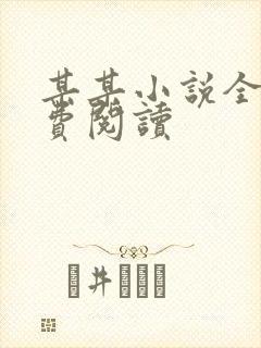 某某小说全文免费阅读