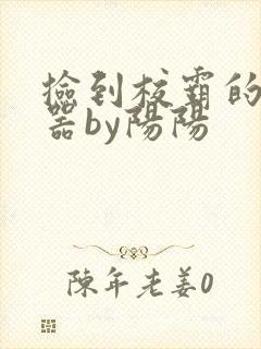 捡到校霸的遥控器by阳阳