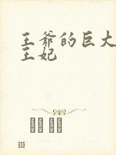 王爷的巨大进入王妃