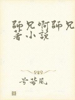 师兄啊师兄的原著小说