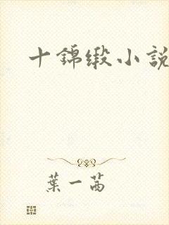 十锦缎小说