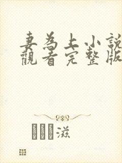 妻为上小说免费观看完整版笔趣阁