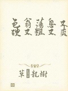 色翁荡息又大又硬又粗又爽电影