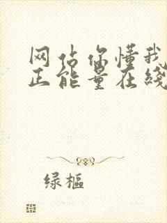 网站你懂我意思正能量在线观看免费软件小说