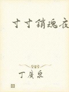 寸寸销魂夜春光