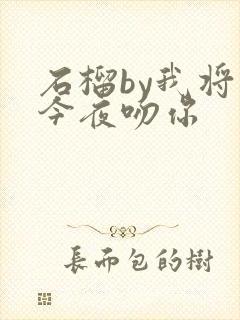 石榴by我将在今夜吻你