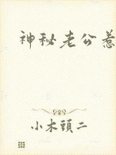 神秘老公惹不起