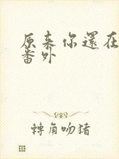 原来你还在这里番外