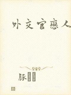 外交官恋人小说