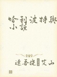 哈利波特与密室小说