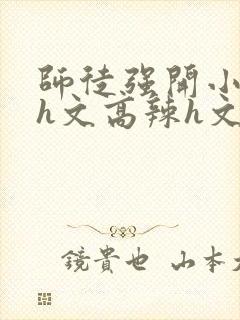 师徒强开小嫩苞h文高辣h文