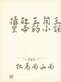 摄政王用玉髓整皇帝的小说