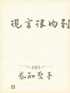 现言很肉到处做