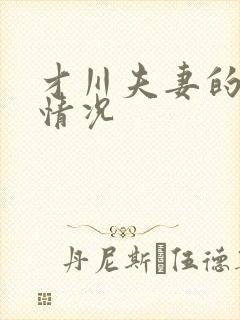 才川夫妻的恋爱情况