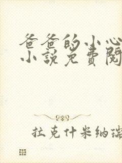 爸爸的小心肝儿小说免费阅读