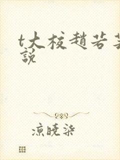 t大校赵若芸小说