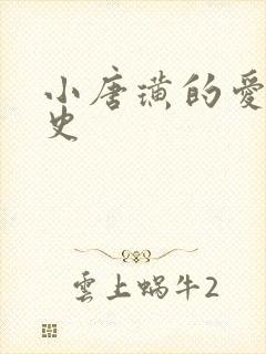 小唐璜的爱情历史