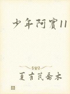 少年阿宾11