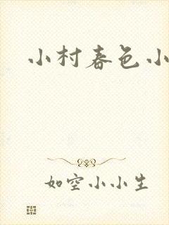 小村春色小说