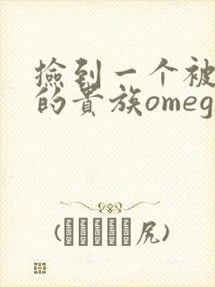 捡到一个被抹布的贵族omega