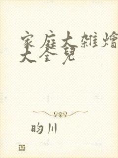 家庭大杂烩小说大全儿